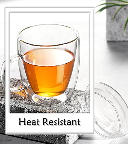 Insulated Espresso Cups 16 oz Double Wall Glass Mugs
