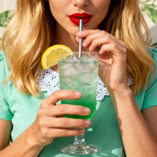 10Pcs Short Metal Straws (10 Count)