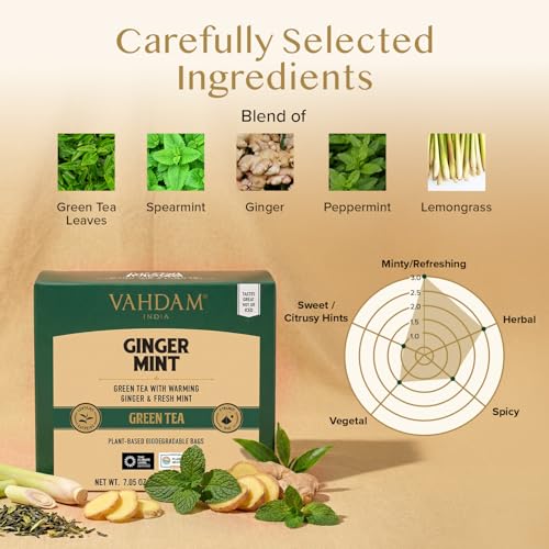 Ginger Mint Green Tea Bags (100 Count)