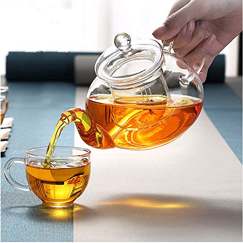 Glass Teapot with Removable Clear Infuser