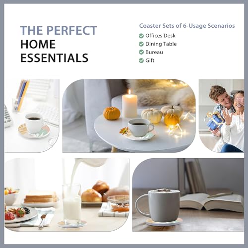 Drink Coasters Set of 6 with Holder