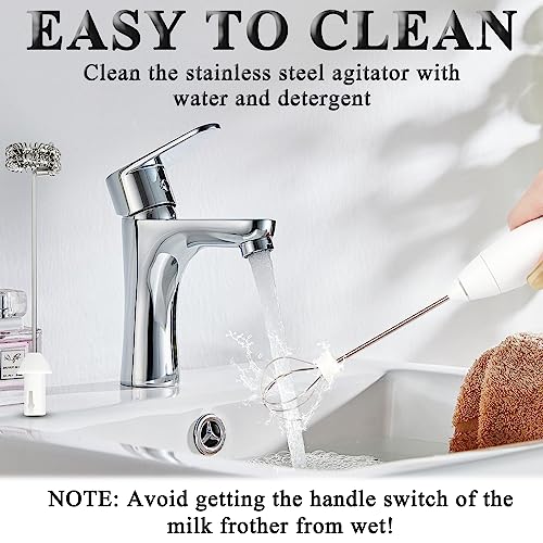 Double Whisk Milk Frother Handheld USB