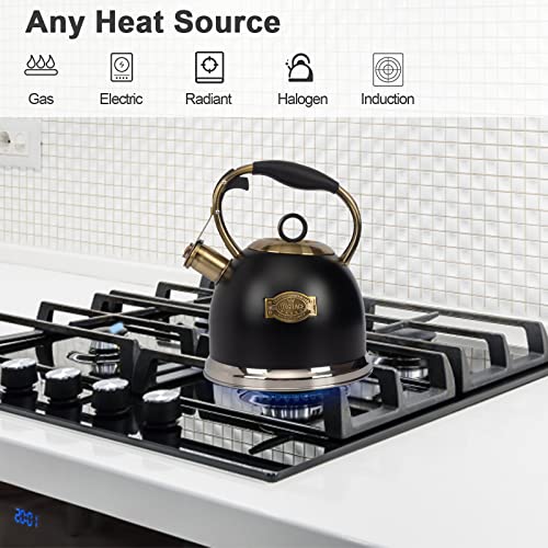 Tea Kettle 3.0 Quart Tea Kettles Stovetop Whistling Teapot Stainless Steel Tea Pots for Stove Top Whistle Tea Pot