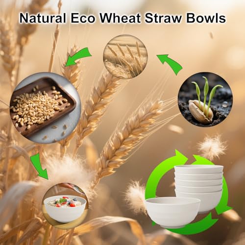 60oz Wheat Straw Bowls Set of 6