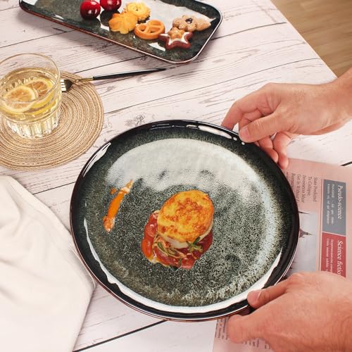 Ceramic Dinner Plates Dish Set (4 Count)