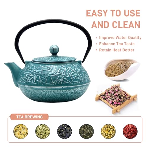 Cast Iron Tea Kettle