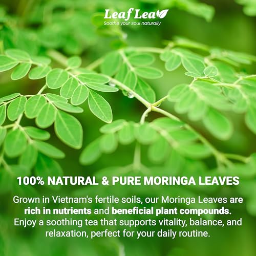 Moringa Tea Bags (40 Count)