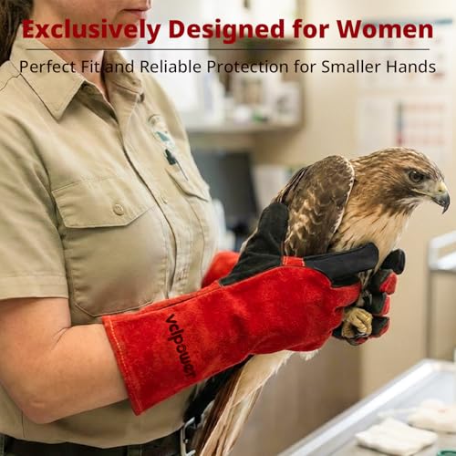 Animal Handling Gloves Size M Fit for Women & Small Hands Bite Proof Double Leather Reinforced Padding Dog