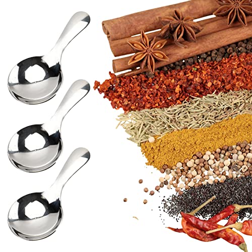 6 Piece Small Stainless Steel Spice Spoons (6 Count)