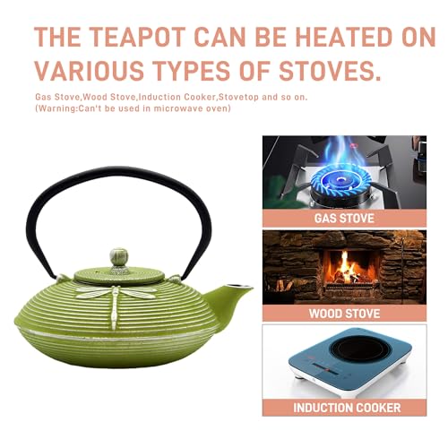 Cast Iron Teapot