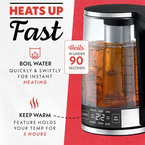 Programmable Digital Glass Kettle