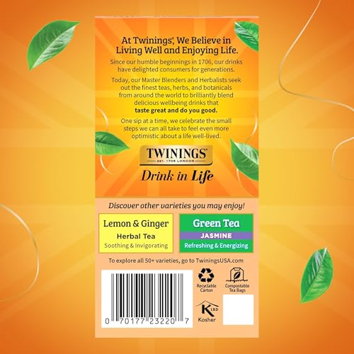 Peach & Orange Herbal Tea Individually Wrapped Bags (120 Count)
