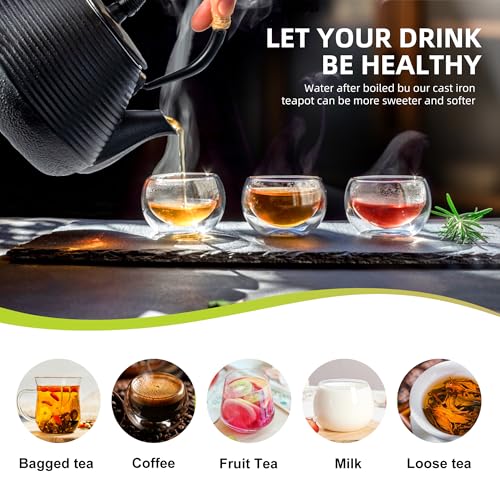Japanese Tetsubin Tea Kettle Cast Iron Teapot with Stainless Steel Infuser 30 oz