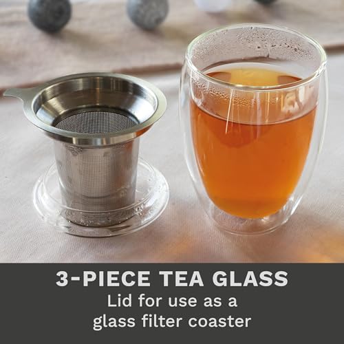 Double Walled Tea Glass with Stainless Steel Filter and Glass Lid