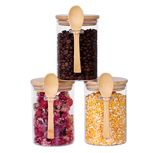 Glass Jar with Bamboo Lid and Spoon (3 Count)