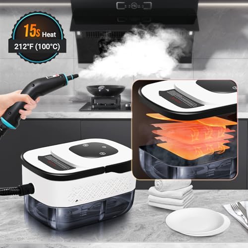 Steam Cleaner