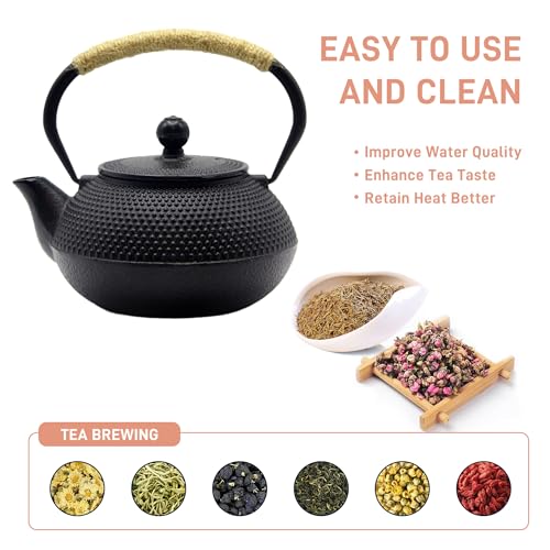 Japanese Tetsubin Cast Iron Teapot Tea Kettle pot with Stainless Steel Infuser for Stovetop Safe Coated with Enameled Interior