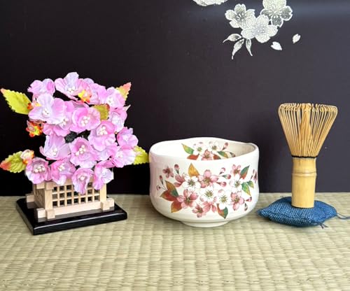 Japanese Traditional Mino Ware Handcrafted Mini Matcha Chawan Tea Bowl Cup Set With Chasen Bamboo Tea Whisk Ceremony Tableware Pottery