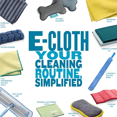 Wash & Wipe Dish Cloth