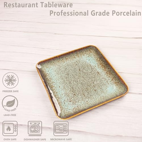 Ceramic Dinner Plates Dish Set (4 Count)