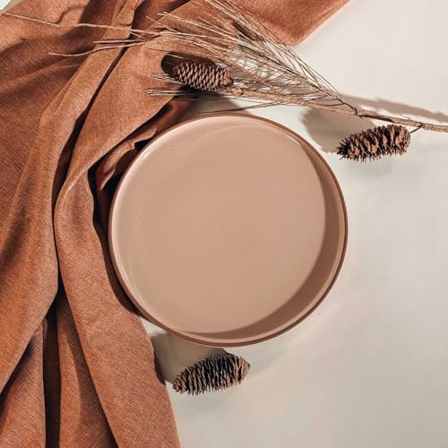 Ceramic Flat Dinner Plates Set of 6 (6 Count)