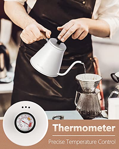 Gooseneck Kettle with Thermometer for Pour Over Coffee and Tea