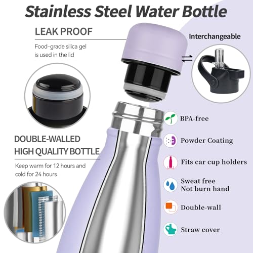 Insulated Water Bottle