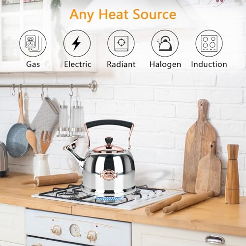 Tea Kettle Stainless Steel Teapot