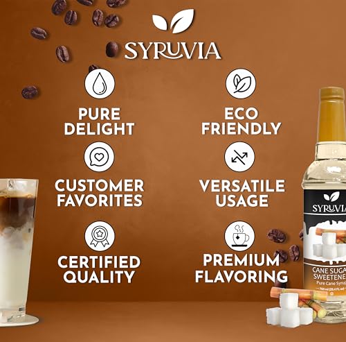 Coffee Syrup Cane Sugar Sweetener Flavored Syrup for Drinks (25.4 Fl Oz)