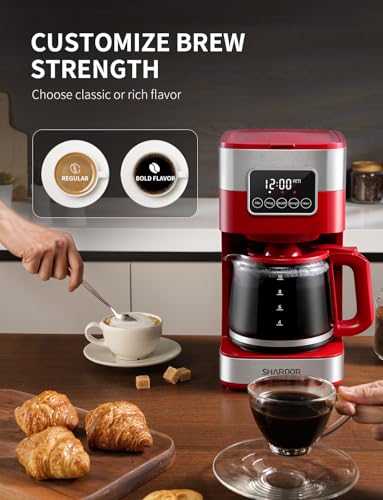 10 Cup Programmable Coffee Maker
