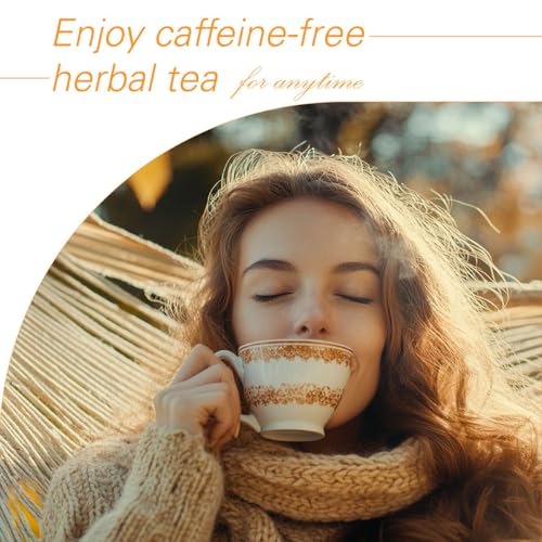 Orange Spice Herbal Tea Bags 50count (50 Count)