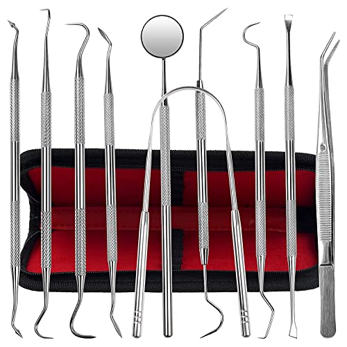 Dental Kit Tools (10 Count)