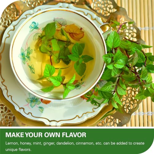Nettle Leaf Tea Bags 100 Count