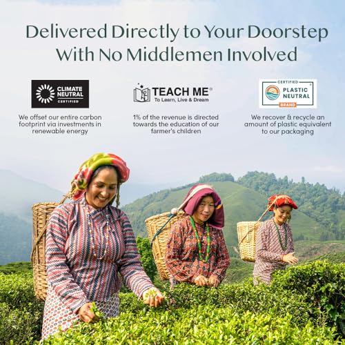 Vedic Kadha Teabags (100 Count)