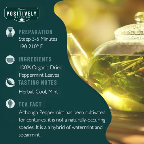 Peppermint Leaf Herbal Tea Bags (100 Count)