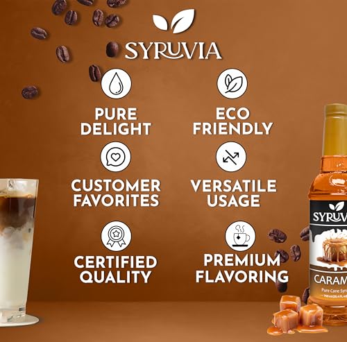 Coffee Syrup Caramel Flavored Syrup for Drinks (25.4 Fl Oz)