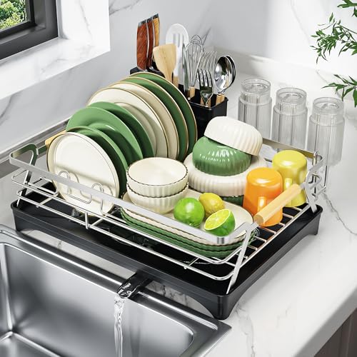 Dish Drying Rack for Kitchen Counter