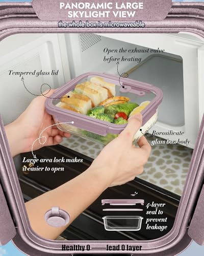 12 Pack Glass Containers with Tempered Lids (12 Count)