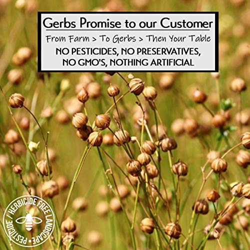 Flax Seed Meal 1 lb. (16 Ounce)