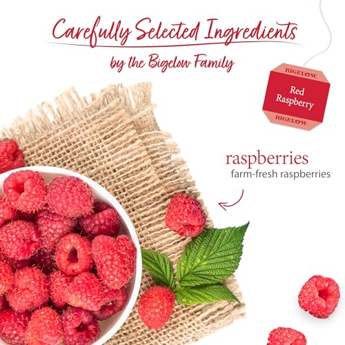 Red Raspberry Herbal Tea (120 Count)