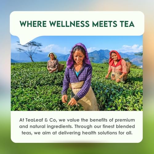 Detox Kahwa Green Tea (50 Count)