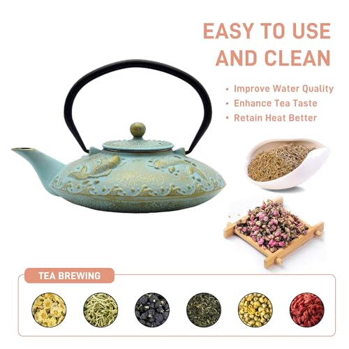 27.1oz Small Cast Iron Teapot