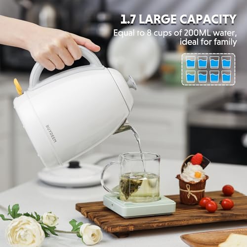 K640 Electric Tea Kettle