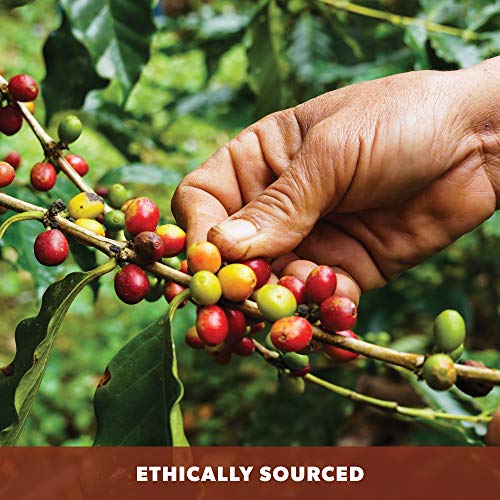 Organic Mold Free Coffee (16 Ounce)