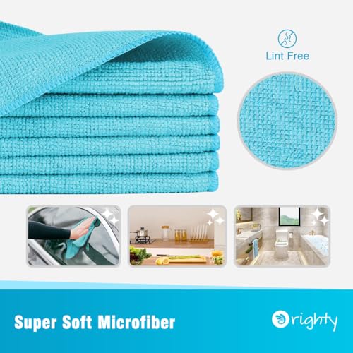 Microfiber Cleaning Cloth (12 Count)