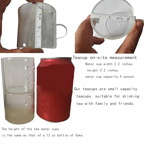Glass Teapot with Infuser Clear Glass Tea Kettle with 6 Teacups