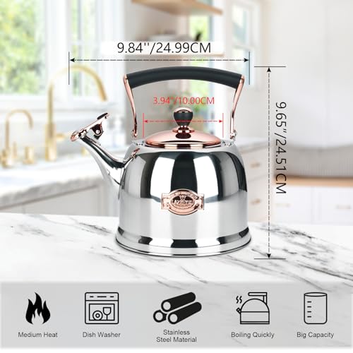 Tea Kettle Stainless Steel Teapot