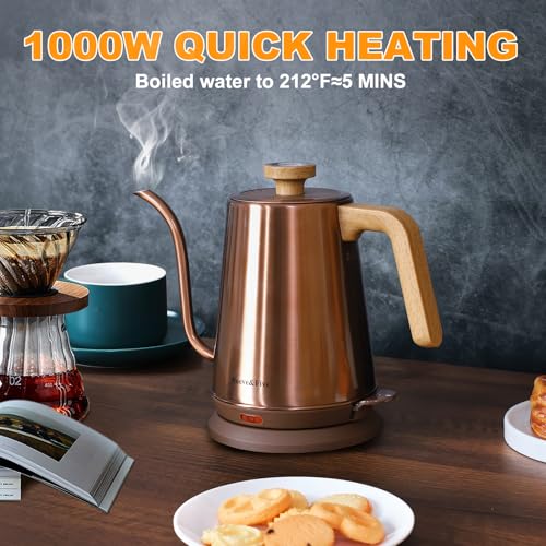 Electric Gooseneck Kettle with Thermometer