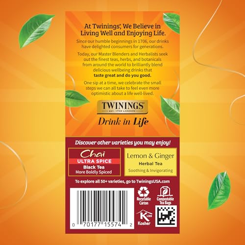 Chai Spiced Black Tea Bags (120 Count)