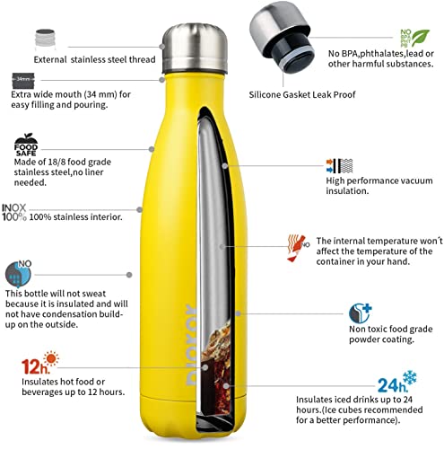 17 oz Insulated Water Bottle